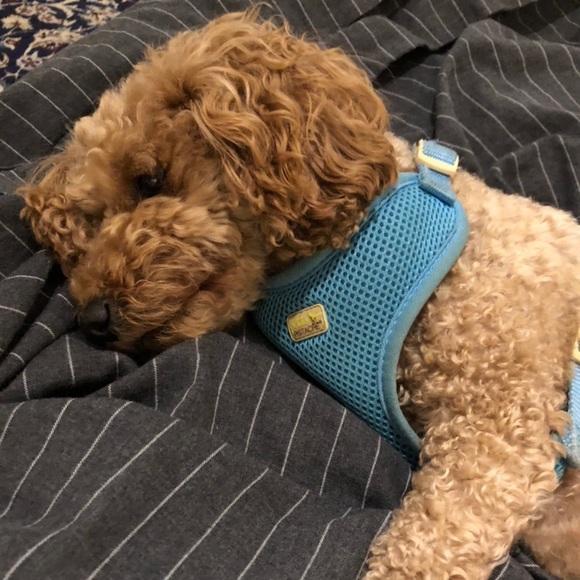 ! Lauren 🇨🇦 - Picture 1 of 1